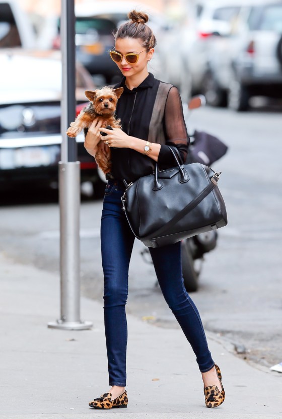 Miranda Kerr Takes Her Pup to Photo Shoot in NYC
