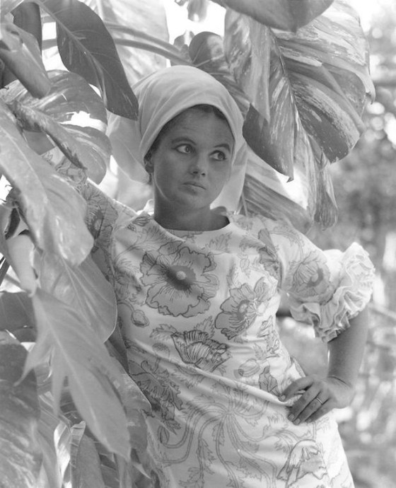 a43b3ea049c4ff662e6c85545312223d